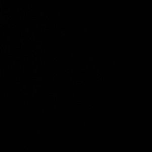 Meet your Posher, Angel